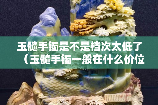 玉髓手鐲是不是檔次太低了（玉髓手鐲一般在什么價位）