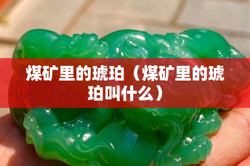 煤礦里的琥珀（煤礦里的琥珀叫什么）