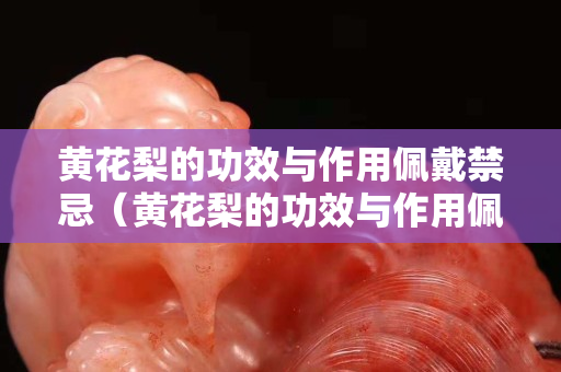 黃花梨的功效與作用佩戴禁忌（黃花梨的功效與作用佩戴禁忌是什么）