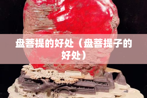 盤菩提的好處（盤菩提子的好處）