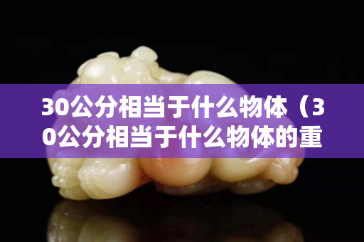 30公分相當(dāng)于什么物體（30公分相當(dāng)于什么物體的重量）