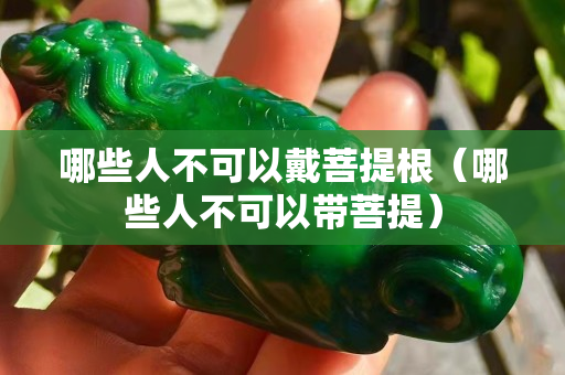 哪些人不可以戴菩提根（哪些人不可以帶菩提）