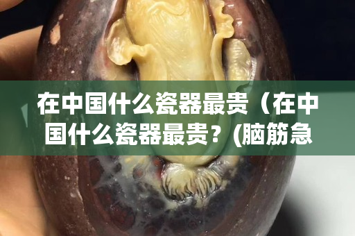 在中國什么瓷器最貴（在中國什么瓷器最貴？(腦筋急轉彎哦)打一生肖）