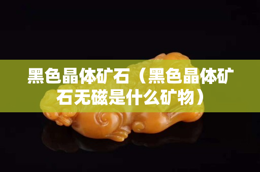 黑色晶體礦石（黑色晶體礦石無磁是什么礦物）