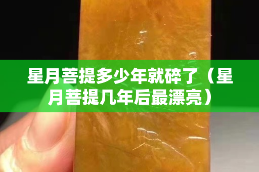 星月菩提多少年就碎了（星月菩提幾年后最漂亮）
