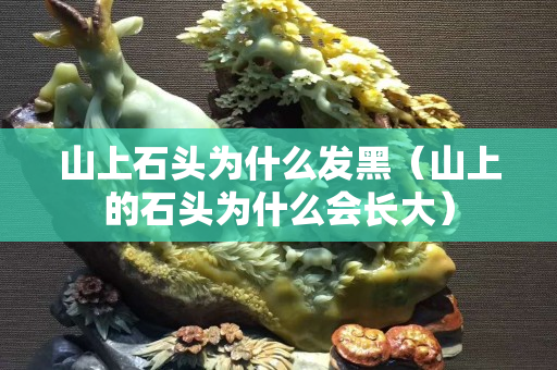 山上石頭為什么發黑（山上的石頭為什么會長大）
