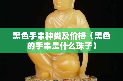 黑色手串種類及價格（黑色的手串是什么珠子）