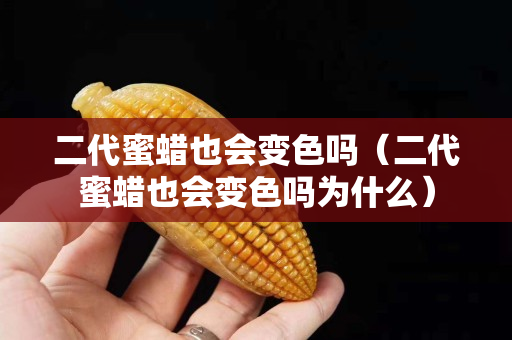 二代蜜蠟也會變色嗎（二代蜜蠟也會變色嗎為什么）