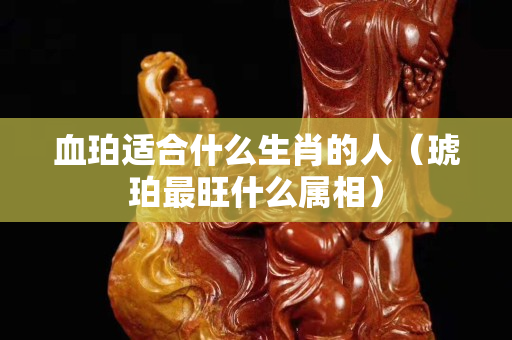 血珀適合什么生肖的人（琥珀最旺什么屬相）