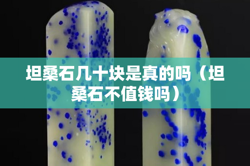 坦桑石幾十塊是真的嗎（坦桑石不值錢嗎）