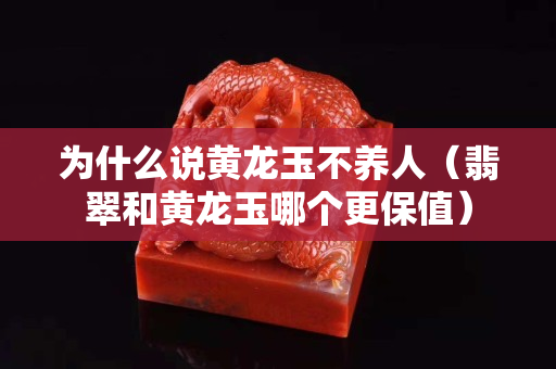 為什么說黃龍玉不養人（翡翠和黃龍玉哪個更保值）