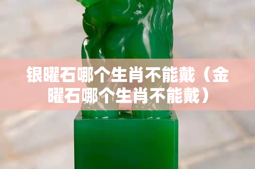 銀曜石哪個生肖不能戴（金曜石哪個生肖不能戴）