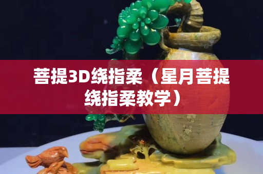 菩提3D繞指柔（星月菩提繞指柔教學(xué)）
