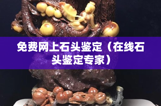 免費(fèi)網(wǎng)上石頭鑒定（在線石頭鑒定專家）