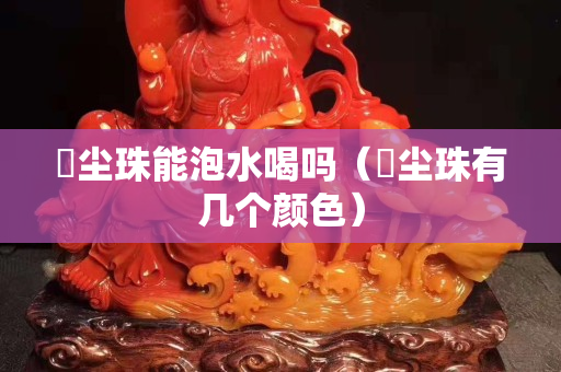 雮塵珠能泡水喝嗎（雮塵珠有幾個顏色）