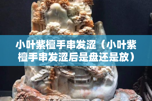 小葉紫檀手串發澀（小葉紫檀手串發澀后是盤還是放）