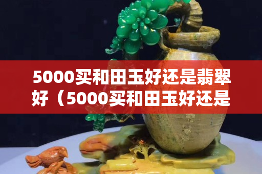 5000買和田玉好還是翡翠好（5000買和田玉好還是翡翠好一點(diǎn)）