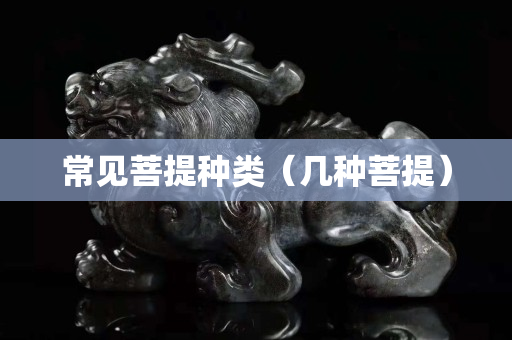 常見(jiàn)菩提種類(lèi)（幾種菩提）