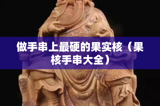 做手串上最硬的果實核（果核手串大全）