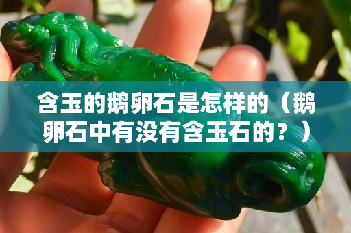 含玉的鵝卵石是怎樣的（鵝卵石中有沒有含玉石的？）