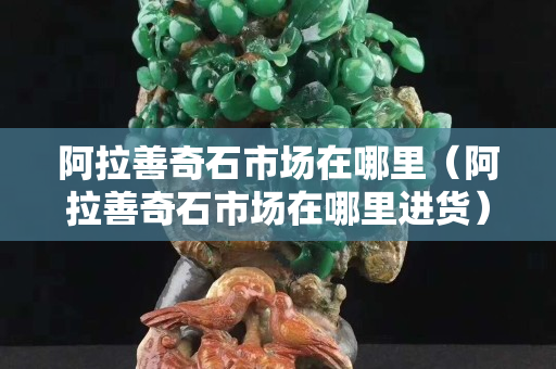 阿拉善奇石市場在哪里（阿拉善奇石市場在哪里進貨）