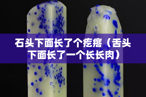石頭下面長了個疙瘩（舌頭下面長了一個長長肉）