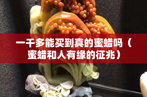 一千多能買到真的蜜蠟嗎（蜜蠟和人有緣的征兆）