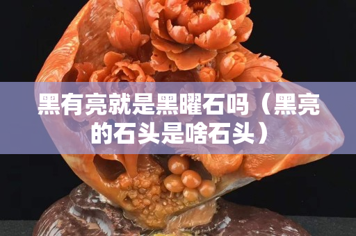 黑有亮就是黑曜石嗎（黑亮的石頭是啥石頭）