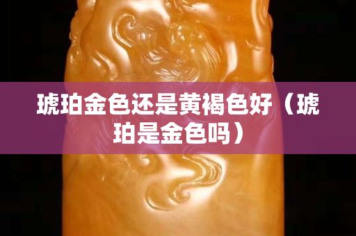 琥珀金色還是黃褐色好（琥珀是金色嗎）