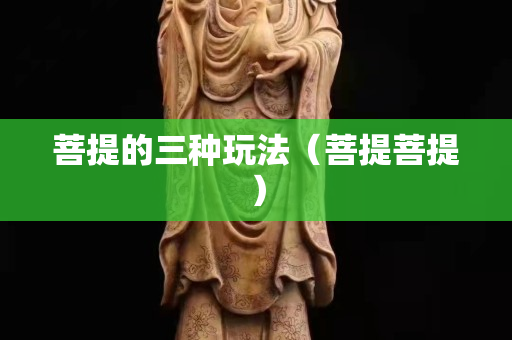 菩提的三種玩法（菩提菩提）
