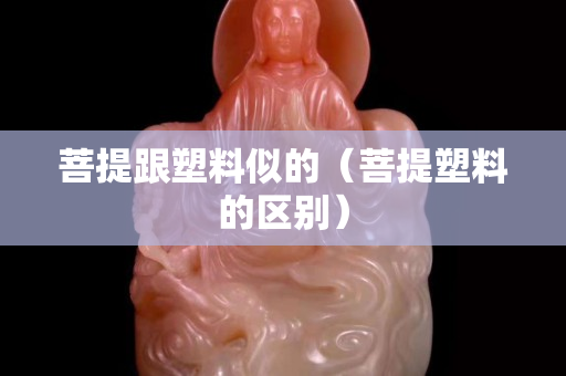 菩提跟塑料似的（菩提塑料的區(qū)別）