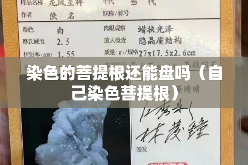 染色的菩提根還能盤嗎（自己染色菩提根）