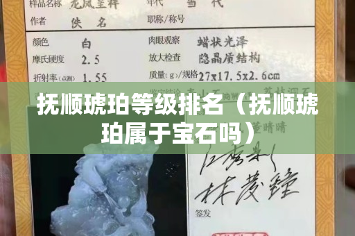 撫順琥珀等級排名（撫順琥珀屬于寶石嗎）
