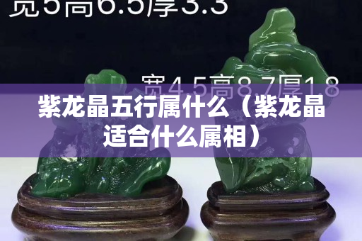 紫龍晶五行屬什么（紫龍晶適合什么屬相）