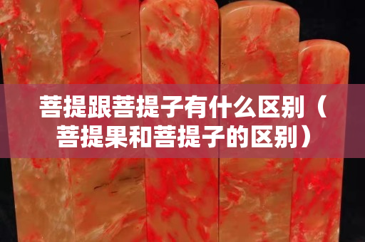 菩提跟菩提子有什么區別（菩提果和菩提子的區別）