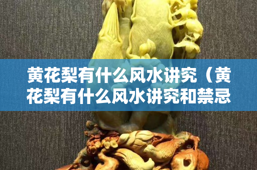 黃花梨有什么風水講究（黃花梨有什么風水講究和禁忌）