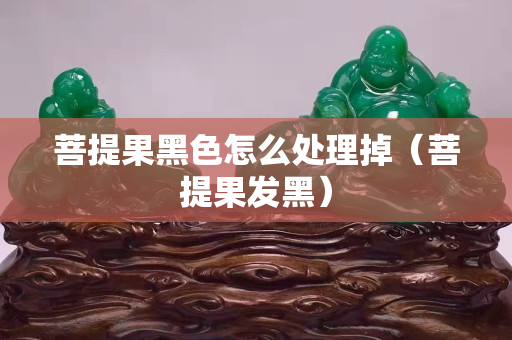 菩提果黑色怎么處理掉（菩提果發黑）