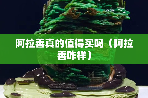 阿拉善真的值得買嗎（阿拉善咋樣）