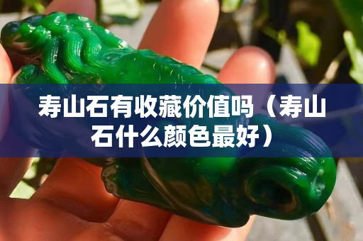 壽山石有收藏價(jià)值嗎（壽山石什么顏色最好）