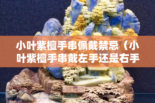 小葉紫檀手串佩戴禁忌（小葉紫檀手串戴左手還是右手）