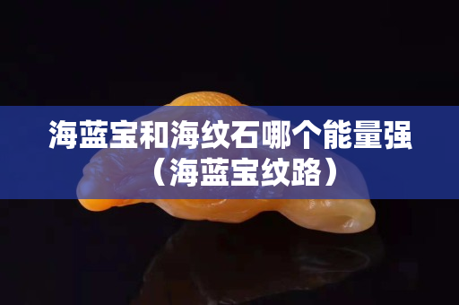 海藍寶和海紋石哪個能量強（海藍寶紋路）