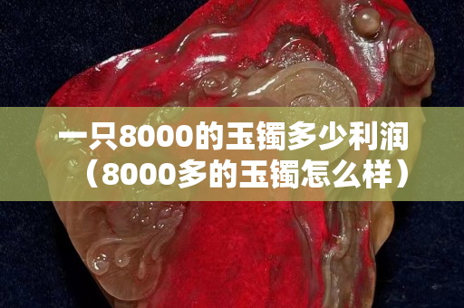 一只8000的玉鐲多少利潤（8000多的玉鐲怎么樣）