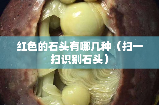 紅色的石頭有哪幾種（掃一掃識別石頭）