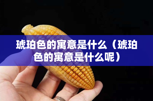 琥珀色的寓意是什么（琥珀色的寓意是什么呢）