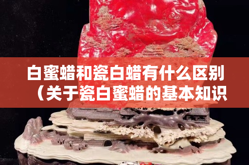 白蜜蠟和瓷白蠟有什么區別（關于瓷白蜜蠟的基本知識）