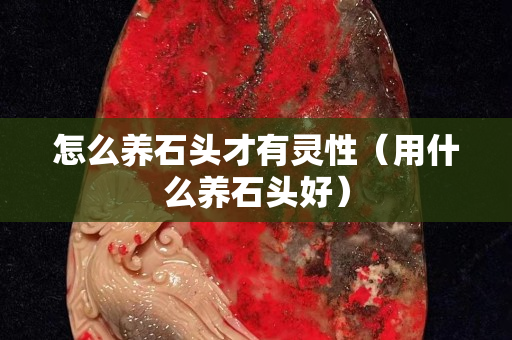 怎么養石頭才有靈性（用什么養石頭好）