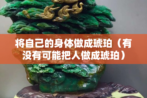 將自己的身體做成琥珀（有沒有可能把人做成琥珀）