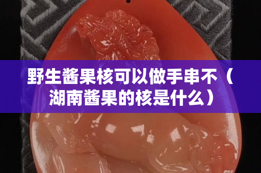 野生醬果核可以做手串不（湖南醬果的核是什么）
