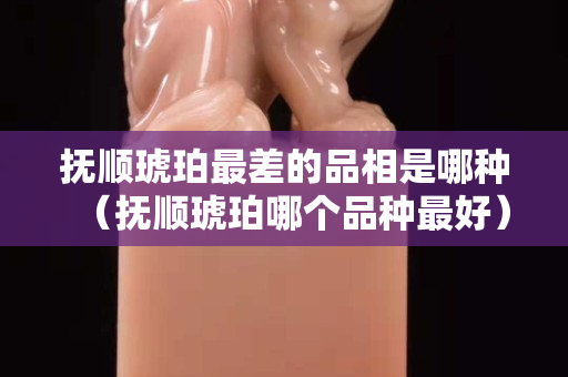 撫順琥珀最差的品相是哪種（撫順琥珀哪個品種最好）