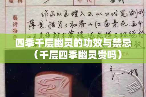 四季千層幽靈的功效與禁忌（千層四季幽靈貴嗎）